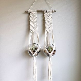 driftwood air plant holder Double Driftwood Air Plant Hanger – Cane River Cord & Bead Company