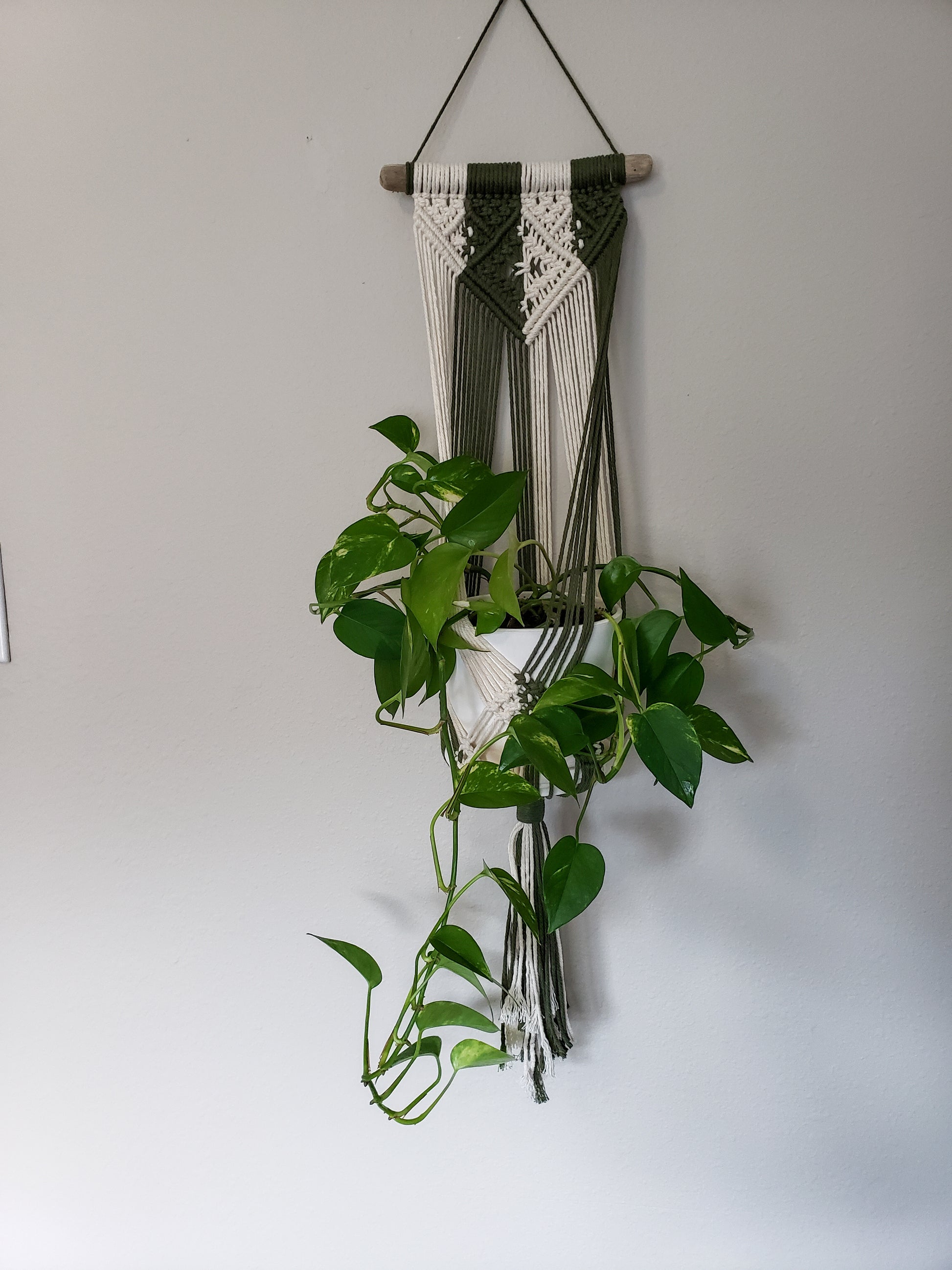 cb2 macrame plant hanger Driftwood Macrame Plant Hanger – Cane River Cord & Bead Company