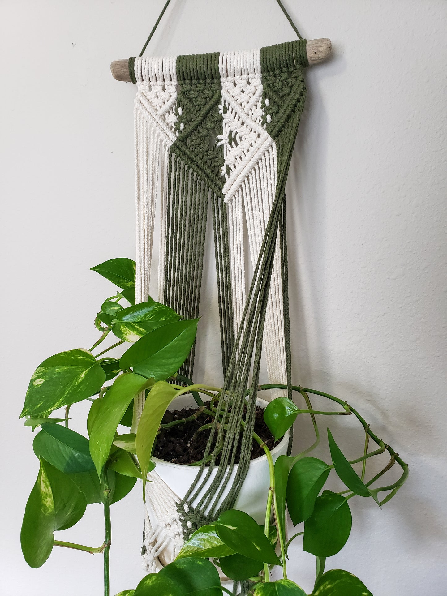 Driftwood Macrame Plant Hanger