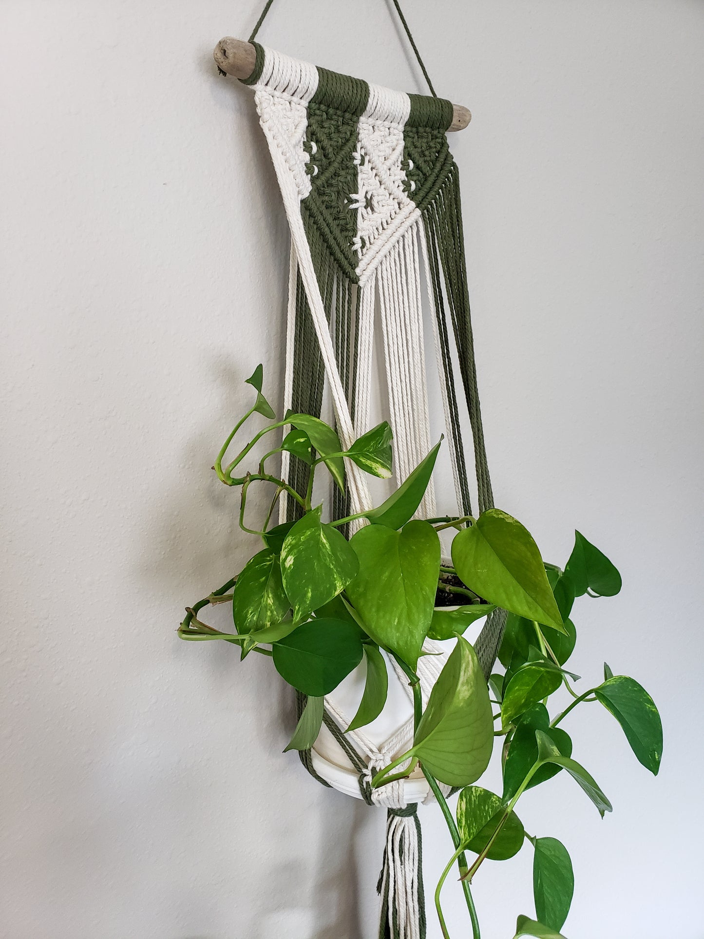 Driftwood Macrame Plant Hanger