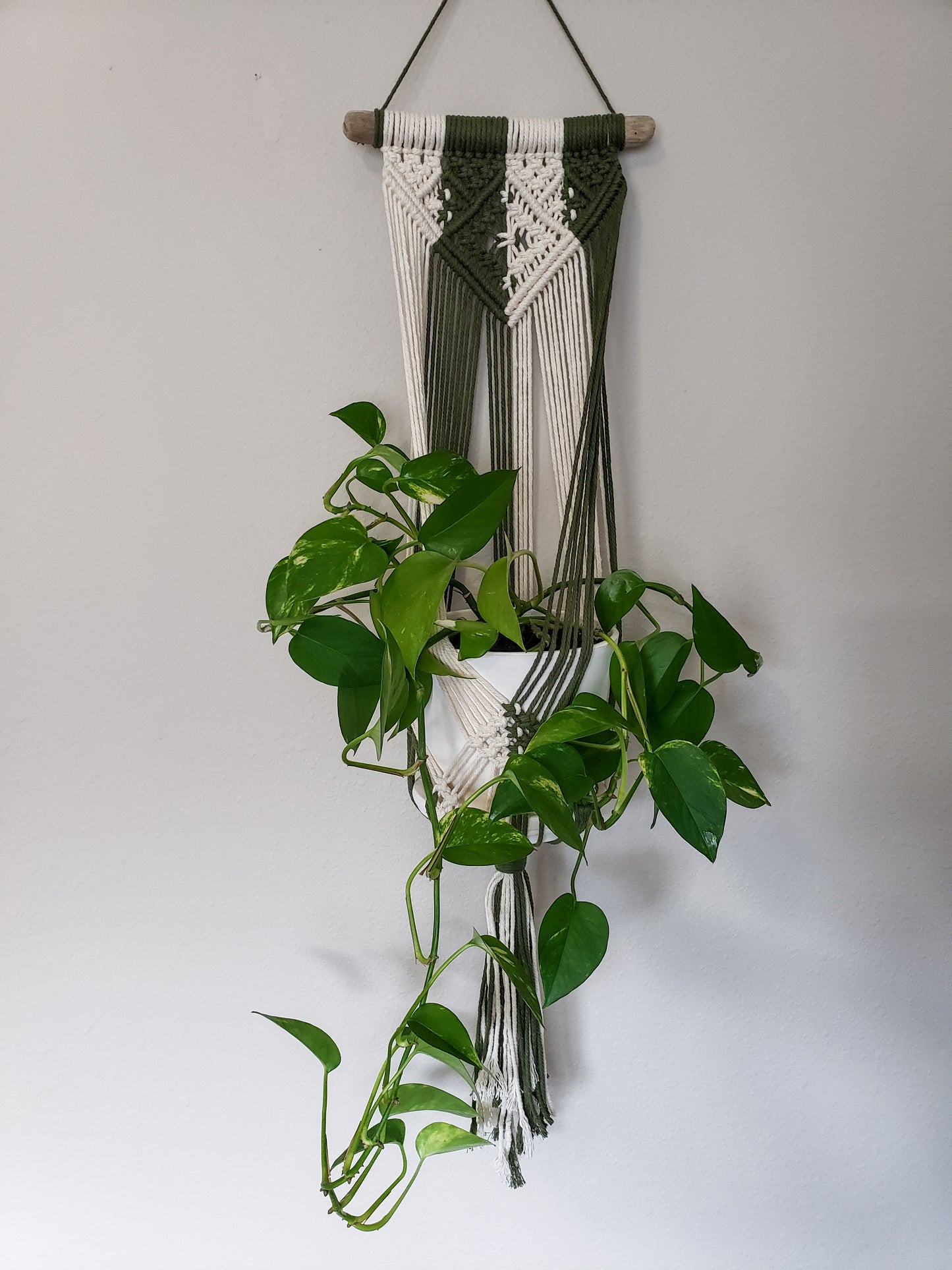 Driftwood Macrame Plant Hanger