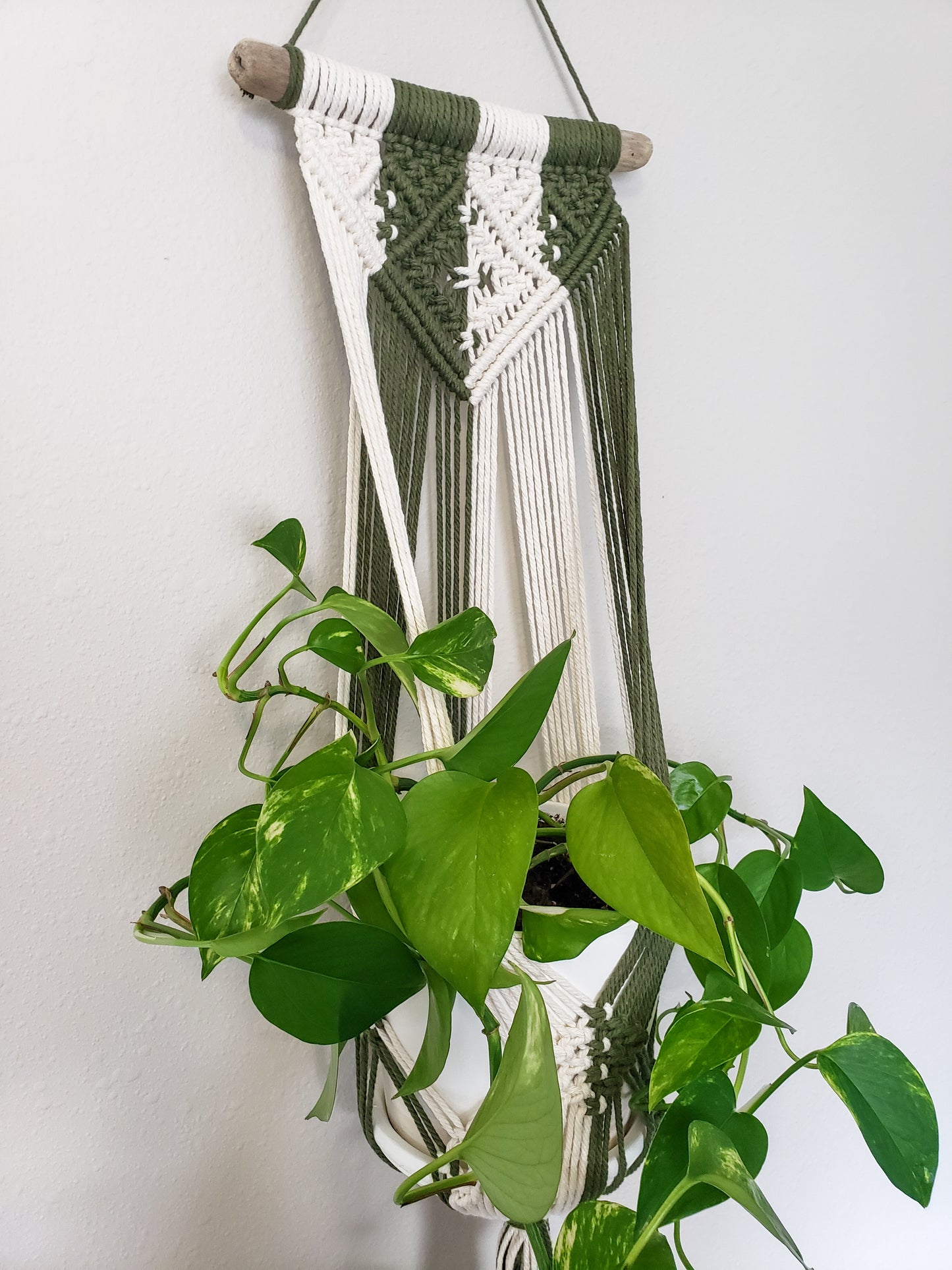 Driftwood Macrame Plant Hanger