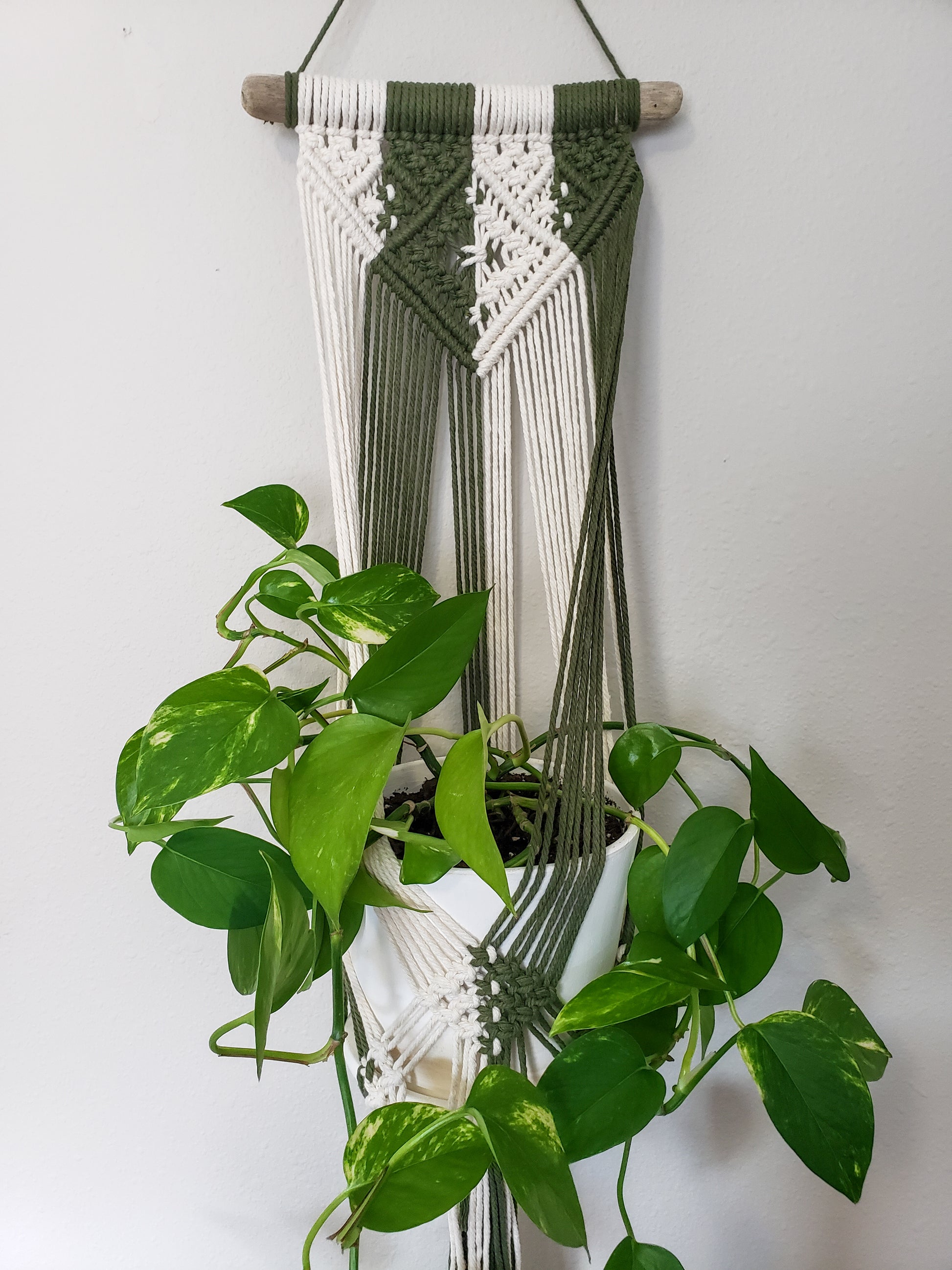 macrame plant hanger on stick Driftwood Macrame Plant Hanger – Cane River Cord & Bead Company