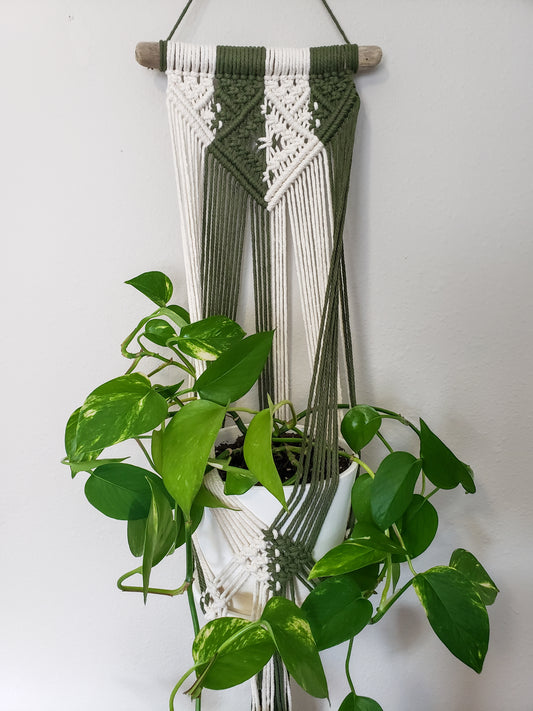 Driftwood Macrame Plant Hanger