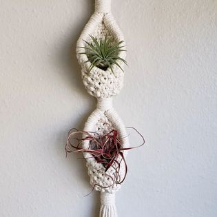 Double Pod Air Plant Hanger