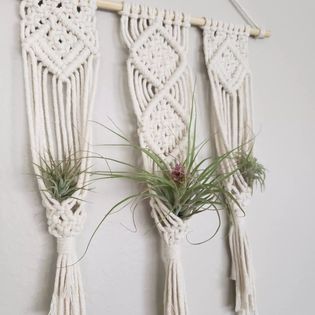 Triple Air Plant Wall Hanging