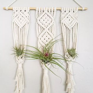 Triple Air Plant Wall Hanging