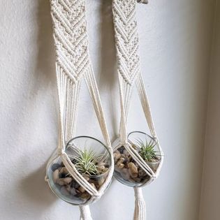 Double Driftwood Air Plant Hanger