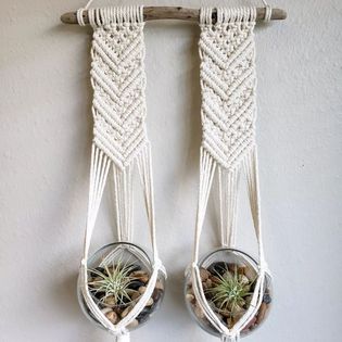 Double Driftwood Air Plant Hanger