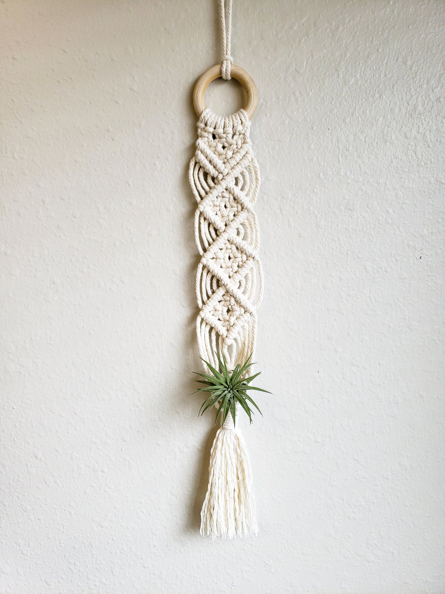 Macrame Air Plant Hanger