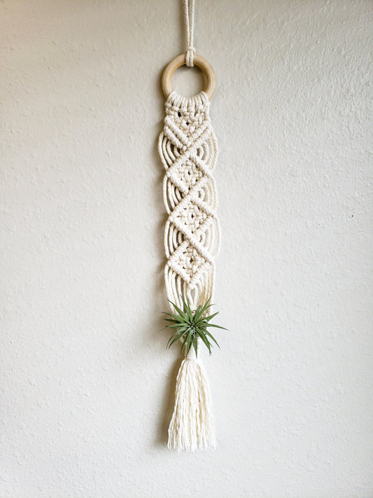 Macrame Air Plant Hanger