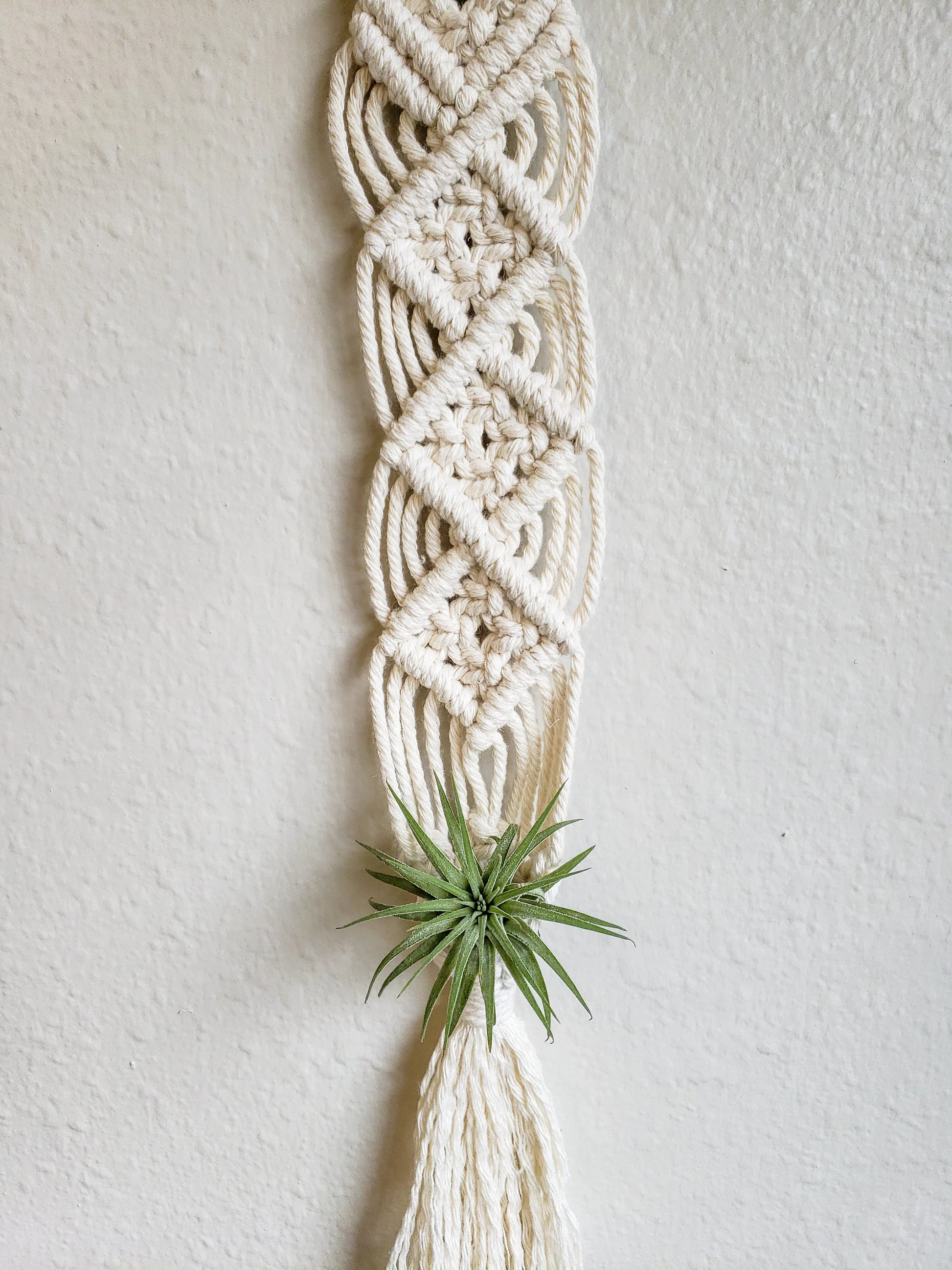 air plant macrame hanger Macrame Air Plant Hanger – Cane River Cord & Bead Company